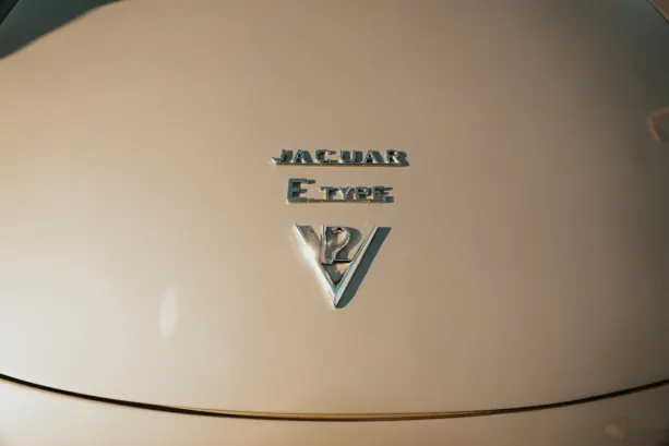 Υντολδ Καζίνο Εφαρμογή Android/iOS